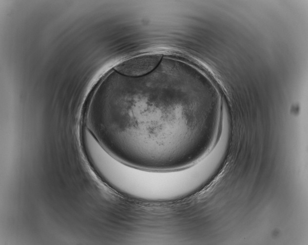 X0000097981418200804071112