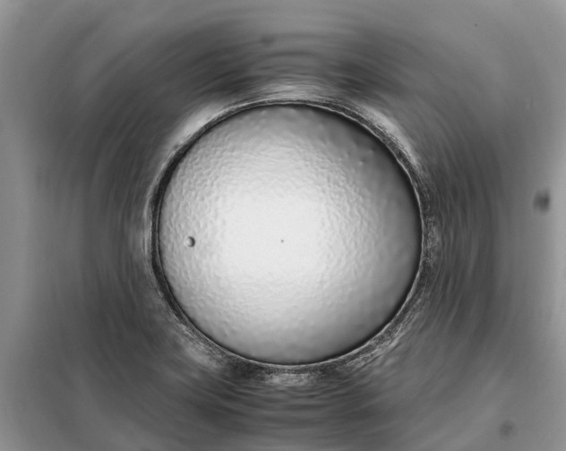 X0000097981419200804071112