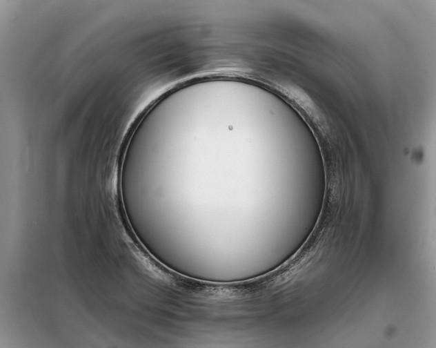 X0000097981420200804071112