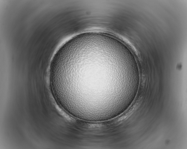 X0000097981421200804071113