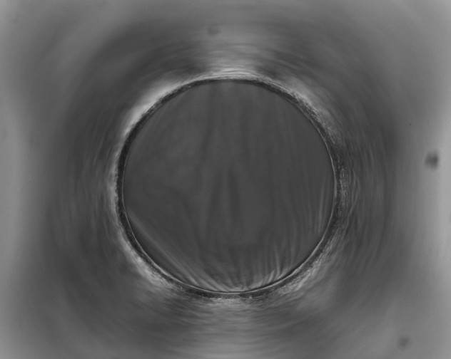 X0000097981422200804071113