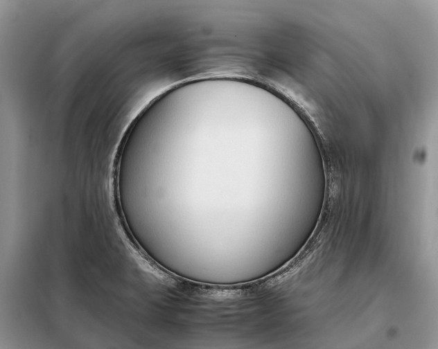 X0000097981423200804071113