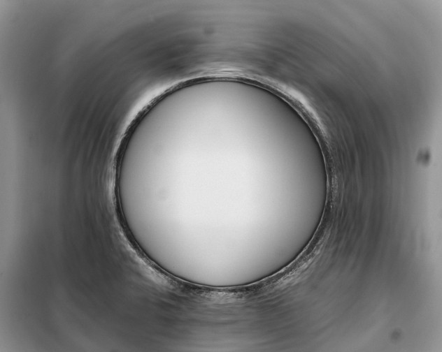 X0000097981424200804071113