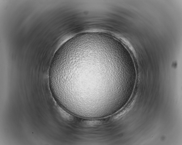 X0000097981425200804071113