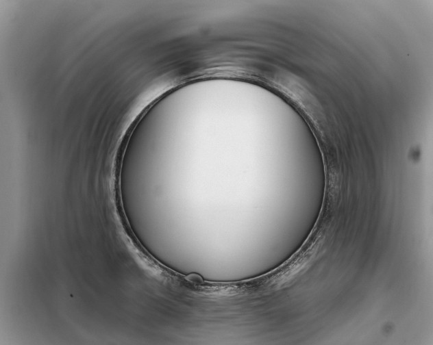 X0000097981426200804071113