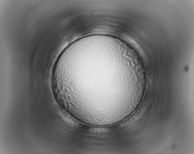 X0000097981427200804071113