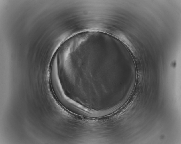 X0000097981428200804071113