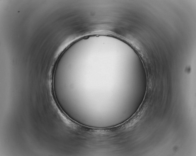 X0000097981430200804071113