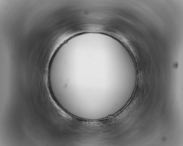 X0000097981432200804071113