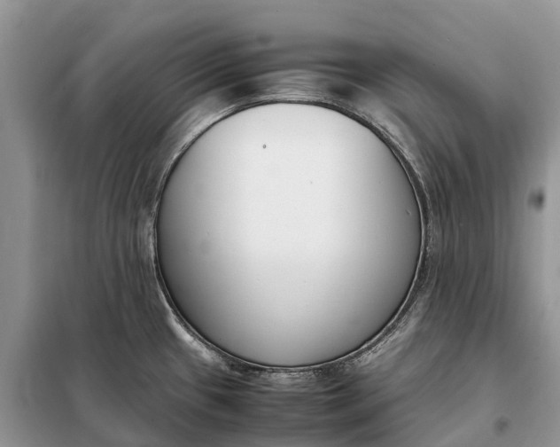 X0000097981433200804071113