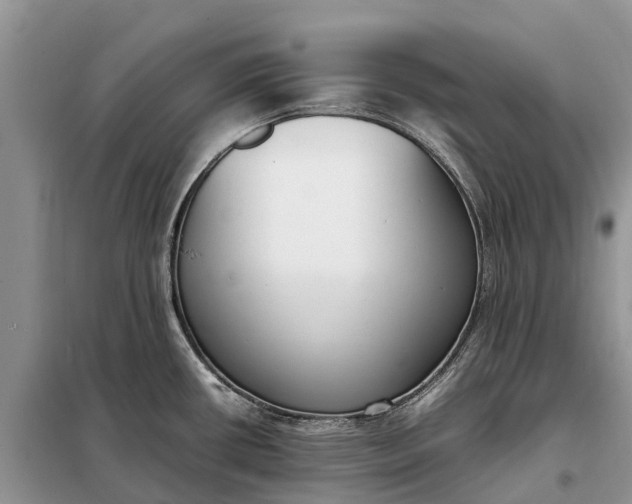 X0000097981434200804071113
