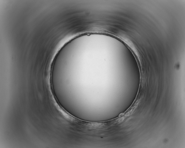 X0000097981437200804071113