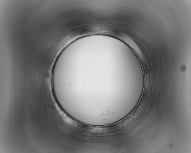 X0000097981439200804071113