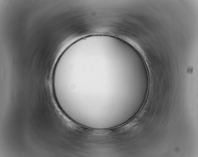 X0000097981440200804071113