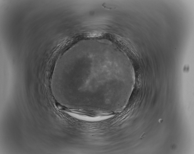 X0000097981441200804071112