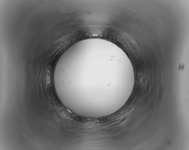 X0000097981442200804071112