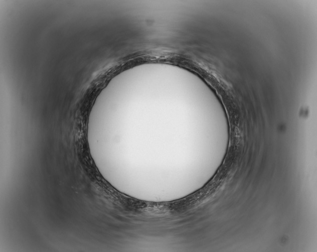 X0000097981447200804071112