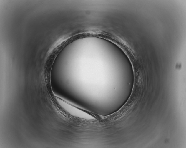 X0000097981448200804071112
