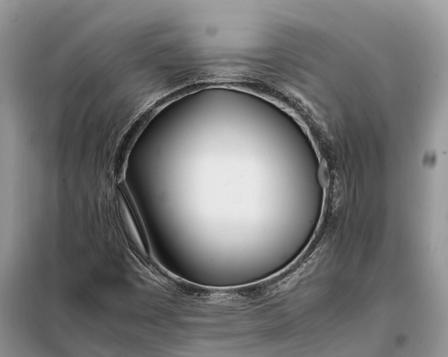X0000097981449200804071112