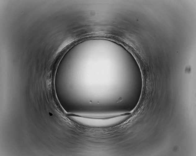X0000097981450200804071112