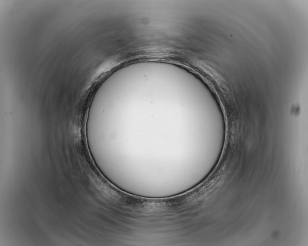 X0000097981451200804071112
