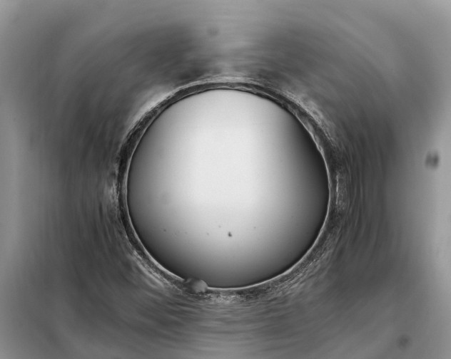 X0000097981452200804071112