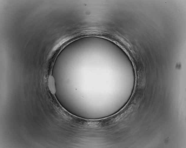 X0000097981453200804071112