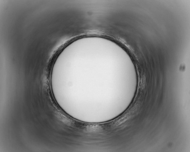 X0000097981454200804071112