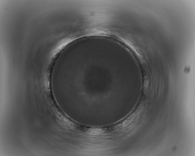 X0000097981455200804071112
