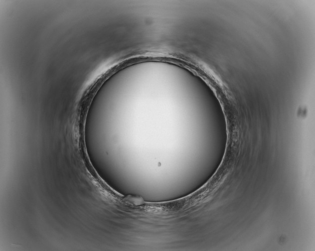 X0000097981456200804071112
