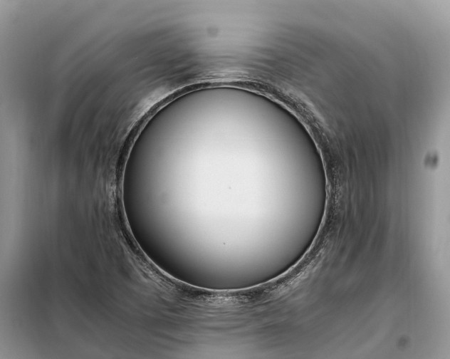 X0000097981457200804071112