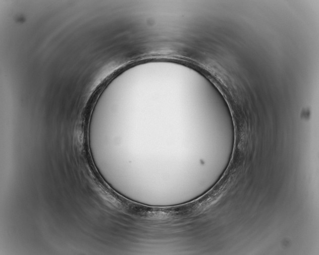 X0000097981458200804071112