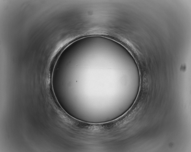 X0000097981461200804071112
