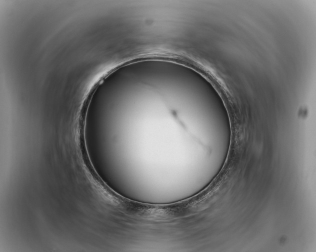 X0000097981463200804071112