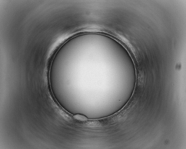 X0000097981464200804071112