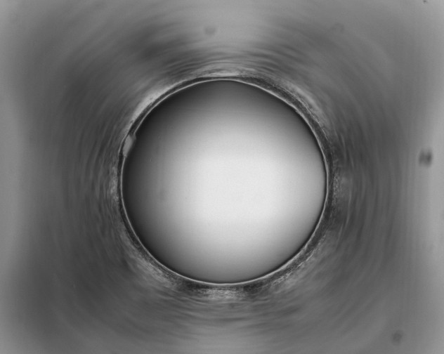 X0000097981465200804071112