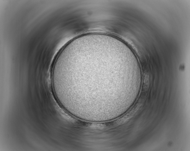 X0000097981466200804071112