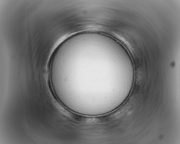 X0000097981467200804071112