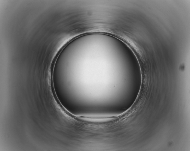 X0000097981468200804071112