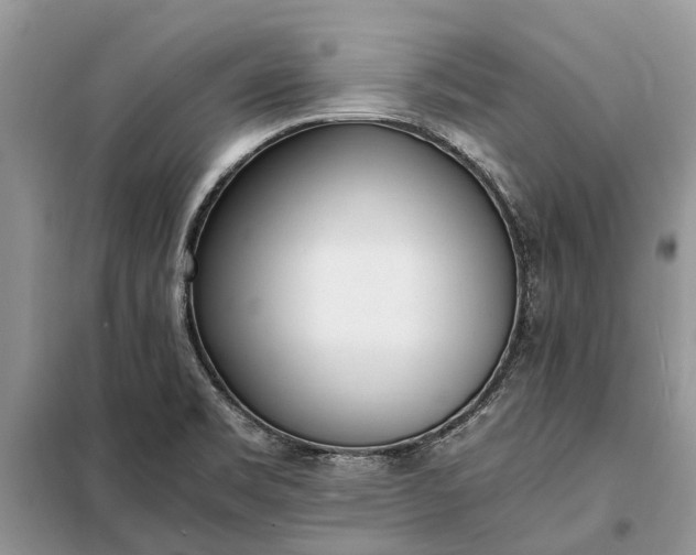 X0000097981469200804071112