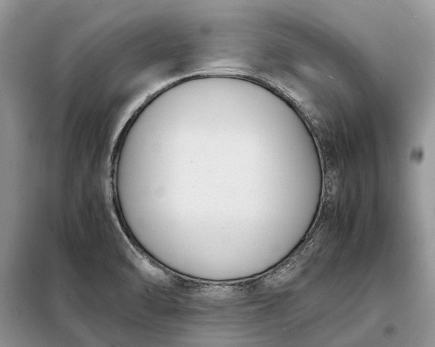 X0000097981470200804071112
