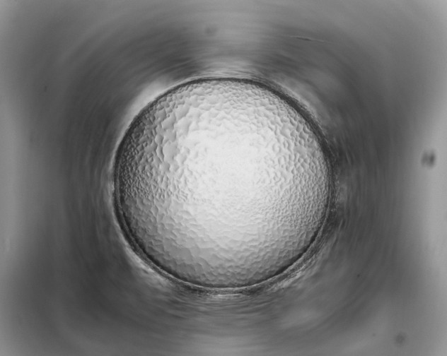 X0000097981471200804071112