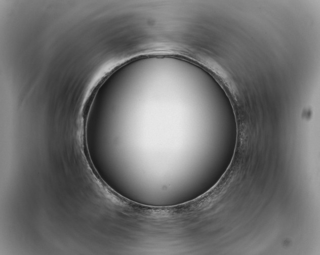 X0000097981472200804071112
