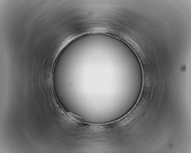 X0000097981473200804071112