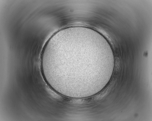X0000097981474200804071112