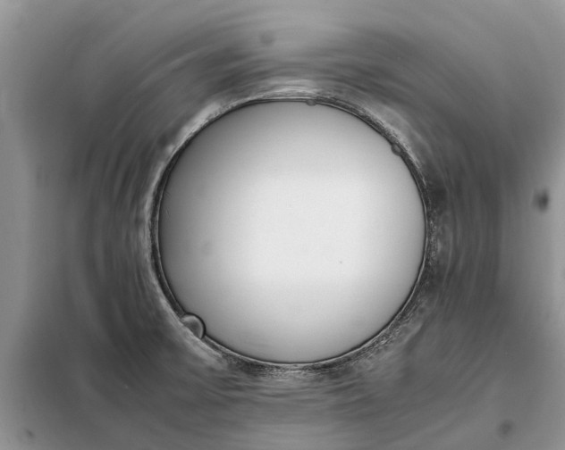 X0000097981475200804071112
