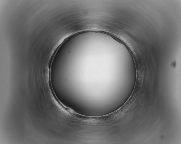 X0000097981476200804071112