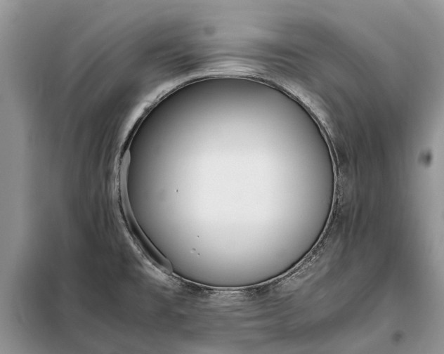 X0000097981477200804071112