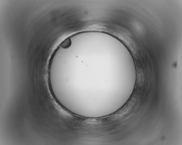 X0000097981478200804071112