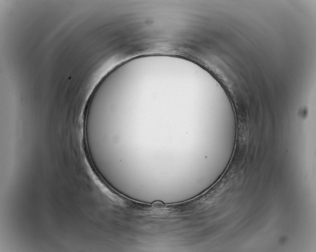 X0000097981479200804071111